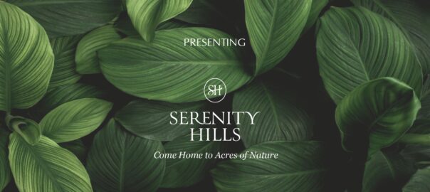 Emaar Serenity Hills Sector 86 Gurgaon